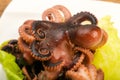 Boiled baby octopuses Royalty Free Stock Photo
