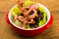 Boiled baby octopuses Royalty Free Stock Photo