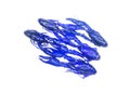Boiled blue crawfish isolated on white Royalty Free Stock Photo