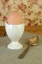 Boiled Brown Egg in Eggcup