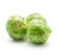 Boiled Brussels sprout isolated Royalty Free Stock Photo