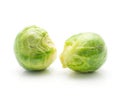 Boiled Brussels sprout isolated Royalty Free Stock Photo