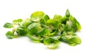 Boiled Brussels sprout isolated Royalty Free Stock Photo