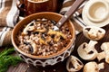 Boiled buckwheat porridge with  mushrooms in  ceramic bowl Royalty Free Stock Photo