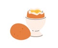 Boiled chicken egg in cup, holder, eggcup. Healthy fresh protein and yolk in cracked shell, eggshell. Breakfast food