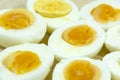 Boiled, chicken, egg, yellow yolk, white protein, diet protein h