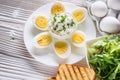 Boiled chicken eggs on a white wooden rustic background