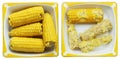 Boiled cobs of sweet corn on a rectangular metal enamel plate Royalty Free Stock Photo
