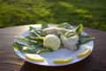 Boiled cod with mashed potatoes