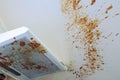 Boiled condensed milk on kitchen hood and ceiling surface after after the tin can exploded