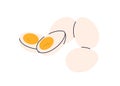 Boiled cooked chicken eggs, whole peeled and cut halves with protein and yellow yolk. Healthy natural breakfast food