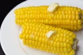 Boiled corn with butter and salt on a white plate on a black background Royalty Free Stock Photo