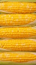 Boiled corn close up Rows of fresh golden yellow corn kernels Royalty Free Stock Photo