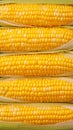 Boiled corn close up Rows of fresh golden yellow corn kernels Royalty Free Stock Photo