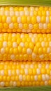 Boiled corn close up Rows of fresh golden yellow corn kernels Royalty Free Stock Photo