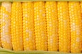 Boiled corn close up Rows of fresh golden yellow corn kernels Royalty Free Stock Photo