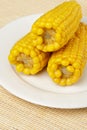 Boiled corn cob Royalty Free Stock Photo