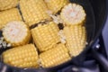 Boiled corn on the cob cooked in a pot Royalty Free Stock Photo