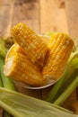 Boiled corn cob in a plate with butter, on wooden textures and green stalks of corn, tasty homemade food, for a picnic Royalty Free Stock Photo