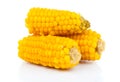 Boiled corn cob Royalty Free Stock Photo