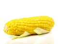 Boiled Corn Cob on white Background - Isolated Royalty Free Stock Photo