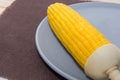 Boiled corn on grey plate