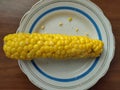 Boiled corn on plate with salt. Cereal, fruits. Cooked maize close-up. Royalty Free Stock Photo