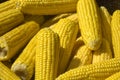 Boiled corn. Sale of freshly boiled hot corn at fair. Natural yellow background. Close-up