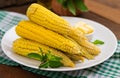 Boiled corn with salt and butter. Royalty Free Stock Photo