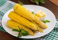 Boiled corn with salt and butter. Royalty Free Stock Photo