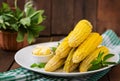 Boiled corn with salt and butter Royalty Free Stock Photo