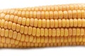 Boiled corncob closeup, corn maize isolated on white background Royalty Free Stock Photo