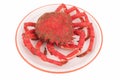 Boiled crab Royalty Free Stock Photo
