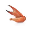 Boiled crab claws isolated on white background. Royalty Free Stock Photo