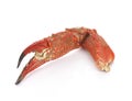 Boiled crab claws isolated on white background. Royalty Free Stock Photo