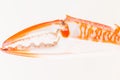 Boiled crab claws Royalty Free Stock Photo
