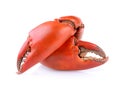 Boiled crab claws Royalty Free Stock Photo