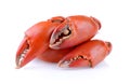 Boiled crab claws Royalty Free Stock Photo