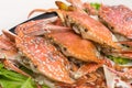 Boiled crab fresh