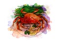 Boiled crab on a plate with fresh herbs and lemon slices, sketch