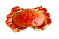Boiled Crab Royalty Free Stock Photo