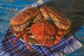 Boiled crab and spider crab Royalty Free Stock Photo