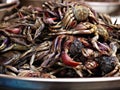 Boiled crabs