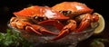 Boiled crabs with lemon and parsley on a dark background Royalty Free Stock Photo