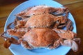 Boiled crabs