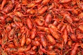 Boiled Crawfish