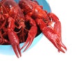 Boiled crawfish Royalty Free Stock Photo