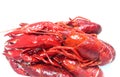 Boiled crawfish isolated on white Royalty Free Stock Photo