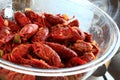 Boiled Crawfish marinated in spices Royalty Free Stock Photo