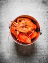 Boiled crawfish in a steel bucket. Royalty Free Stock Photo